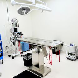 Epic Pet Center - The EPIC surgical suite: quiet, focused, and ready to restore health one paw at a time.