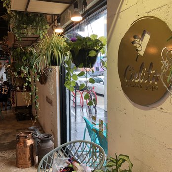 Cielito Artisan Pops - Ice Cream & Frozen Yogurt Near Me - Miami, Florida