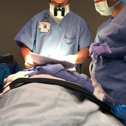 William R Reeves Jr, DDS MS - Surgeon: Dr William Reeves