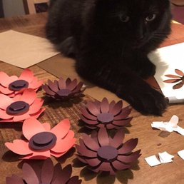 Cleo isn't into the projects