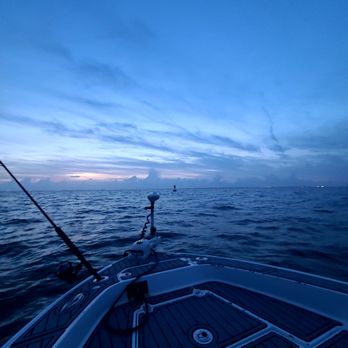 Poseidon Fishing Charters - Fishing Near Me - Ruskin, Florida Poseidon Fishing Charters - Fishing Near Me - Ruskin, Florida