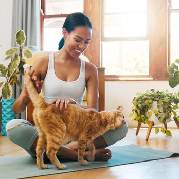Paws 'n' Rec - Pearl Ave - Pet Sitting Near Me - Tampa, Florida Paws 'n' Rec - Pearl Ave - Pet Sitting Near Me - Tampa, Florida