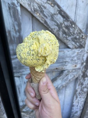 Alleyway Ice Cream by null