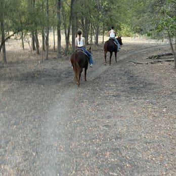 Southern Trails - Trail ride - Horseback Riding Near Me - Manor, Texas Southern Trails - Trail ride - Horseback Riding Near Me - Manor, Texas