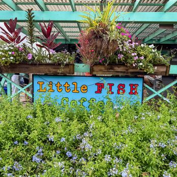 Little Fish Coffee - Cafes Near Me - Koloa, Hawaii Little Fish Coffee - Cafes Near Me - Koloa, Hawaii