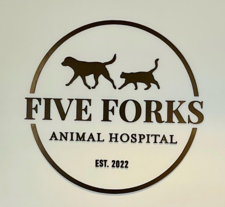 Five Forks Animal Hospital Image