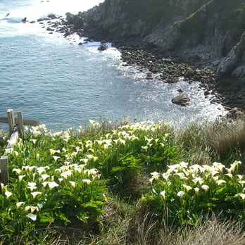Salt Point State Park - Cala Lily Corner - Parks Near Me - Jenner, California