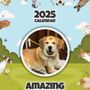 Canine Psychology Center