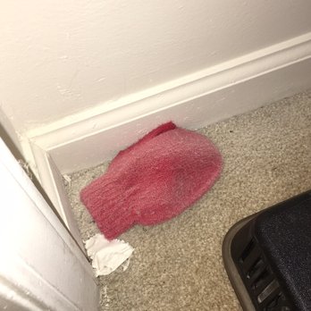 Hudson Woods Apartments - Moving things into new "cleaned" apartment and  found this - Apartments Near Me - Gastonia, North Carolina
