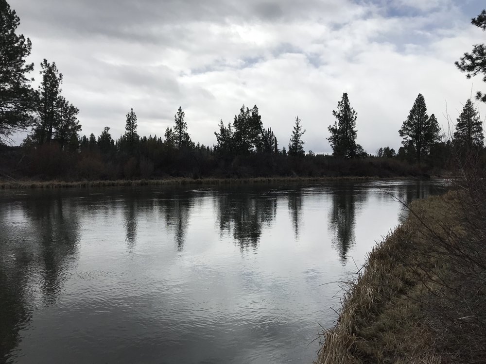 LAVA ISLAND DAY USE AREA 31 Photos Hiking Cascade Lakes Hwy, Bend, OR