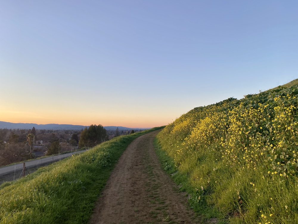 LIME RIDGE OPEN SPACE - CONCORD - 302 Photos & 20 Reviews - 3701 Treat ...