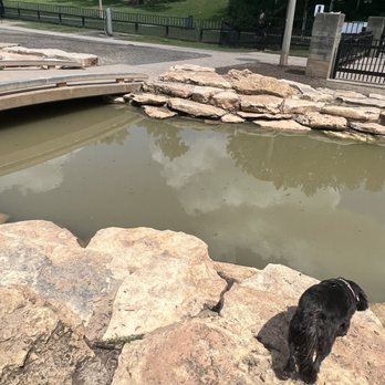 Johnny Steele Dog Park - Dog Parks Near Me - Houston, Texas Johnny Steele Dog Park - Dog Parks Near Me - Houston, Texas