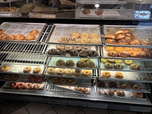 Bagel Street Cafe Millbrae by null