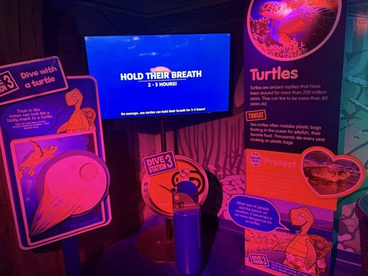 SEA LIFE at Mall of America by null