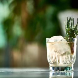 Rumpus Room Rooftop Bar