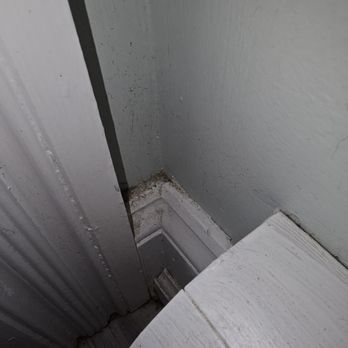 Cleaners Joy - They dust all baseboards!! Doesn't this look great? Worth $1300 for sure. - Home Cleaning Near Me - Portland, Maine Cleaners Joy - They dust all baseboards!! Doesn't this look great? Worth $1300 for sure. - Home Cleaning Near Me - Portland, Maine