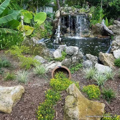 Beautiful Botanicals! - We love watching our customers think of our business as more than just a place to buy plants, but a place to ENJOY plants! Beautiful Botanicals! - We love watching our customers think of our business as more than just a place to buy plants, but a place to ENJOY plants!