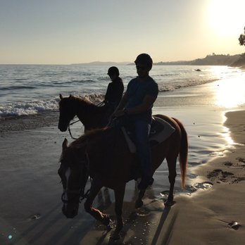 Santa Barbara Beach Horseback Rides 102 Photos 74 Reviews Santa Barbara Beach Horseback Rides