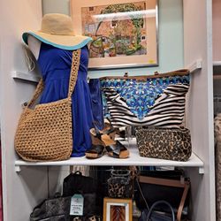 American Cancer Society Discovery Shop - Safari theme event.