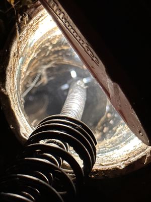 Elite Property Services Logo