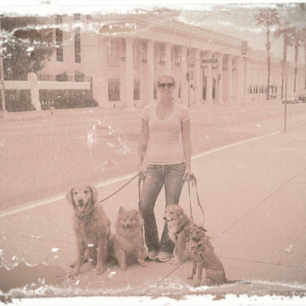 Let's Go For A Walk - A typical cute texted pic from Mia! - Pet Groomers Near Me Let's Go For A Walk - A typical cute texted pic from Mia! - Pet Groomers Near Me
