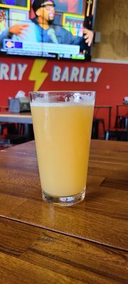 Gnarly Barley Brewing by null