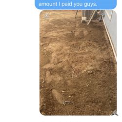 LTS Landscape Design + Build - Root ball that I paid to have removed. Text 1 of 3