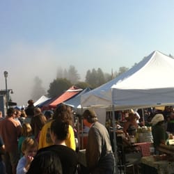 Steilacoom Apple Squeeze
