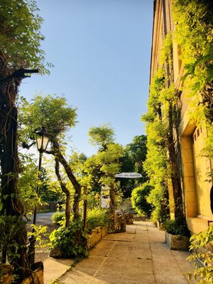 Hôtel Le Cro-Magnon by null