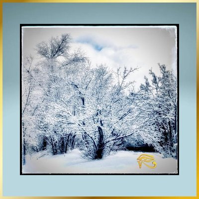 The Golden Eye by null