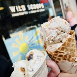 Wild Scoops - Left: Pilot's Life for Me; Right: Fruity Pebbles.