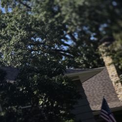 Kansas City Tree Care - lifting the limb over the house part 2 of 13