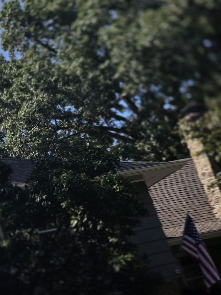KANSAS CITY TREE CARE - Updated June 2026 - 26 Photos & 22 Reviews ...