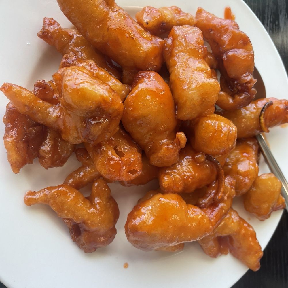 Jiayuan Dumpling House - Orange Chicken - Szechuan Near Me - Redondo Beach, California Jiayuan Dumpling House - Orange Chicken - Szechuan Near Me - Redondo Beach, California