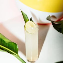 Cabana Club - Cactus Cooler