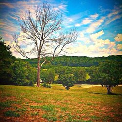 Cherokee Farms