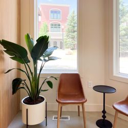 Rise Dental Wellness