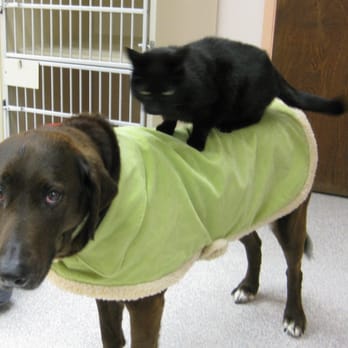 Aptos-Creekside Pet Hospital - Sequoia and Selena - Veterinarians Near Me - Aptos, California Aptos-Creekside Pet Hospital - Sequoia and Selena - Veterinarians Near Me - Aptos, California