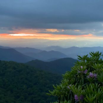 Craggy Gardens - Hiking Near Me - Black Mountain, North Carolina