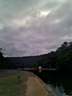 Ku-ring-gai Chase National Park by null