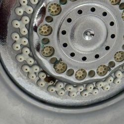 Holiday Inn Express & Suites Tuscaloosa-University - You can see the black mold in multiple places on the shower head.