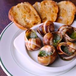 Schuh Factory - Escargot