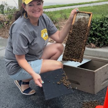 Blossom Bees - Moving regimes honey bees into a hive box - Pest Control Near Me - Valdosta, Georgia Blossom Bees - Moving regimes honey bees into a hive box - Pest Control Near Me - Valdosta, Georgia