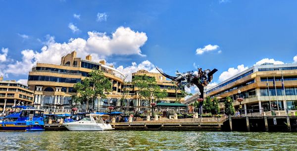 Georgetown Waterfront Park by null