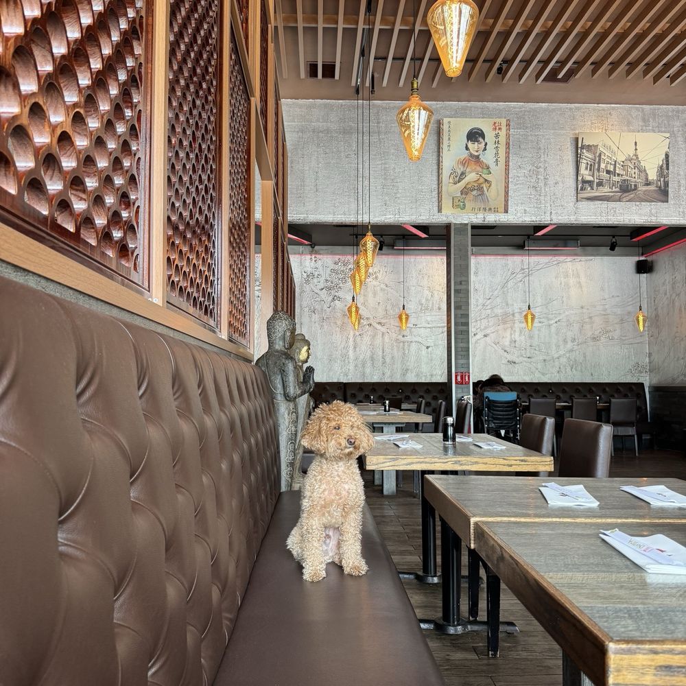 Buddha Asian Bistro - Sushi Bars Near Me - Dobbs Ferry, New York