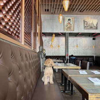 Buddha Asian Bistro - Sushi Bars Near Me - Dobbs Ferry, New York