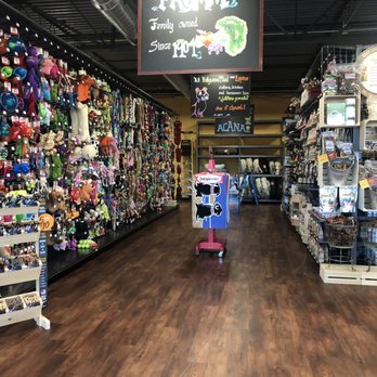 hollywood feed fromm