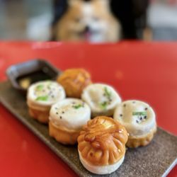 Dumpling Hours - 猪肉生煎包 Pan-fried Pork Bao aka SJB | 6 pc - $15.95