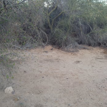 Thunderbird Park - Rangers feed birds and rabbits - Parks Near Me - Glendale, Arizona