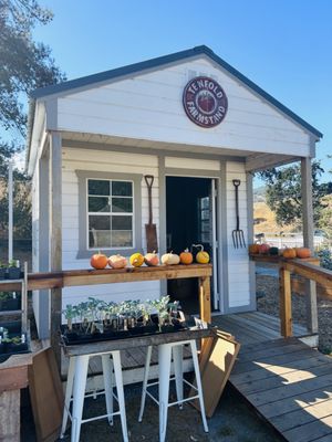 Tenfold Farmstand by null